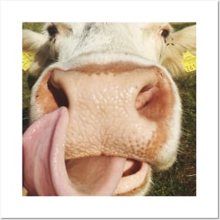 Portrait Of Cow Cute Funny Cow Gift Posters and Art